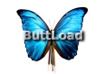 ButtLoad Butterfly